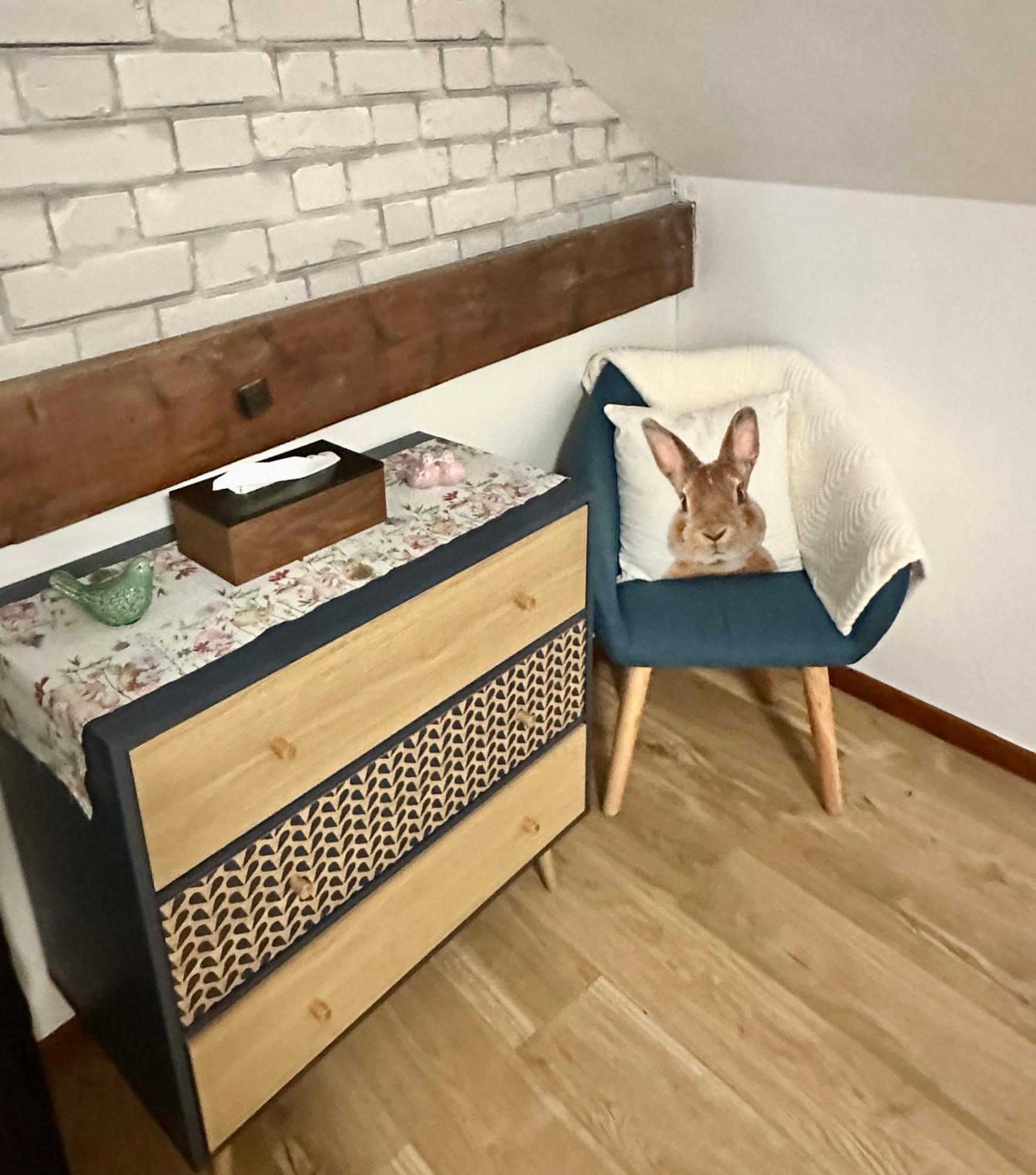 Le Cocon De Marckolsheim Proche Europapark Apartment ภายนอก รูปภาพ